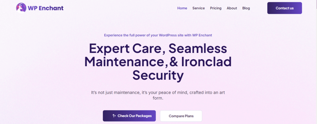 WP Enchant WordPress Website Maintenance Packages 