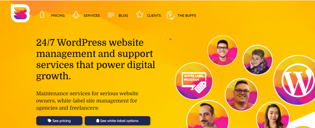 WP Buffs WordPress Website Maintenance Packages website