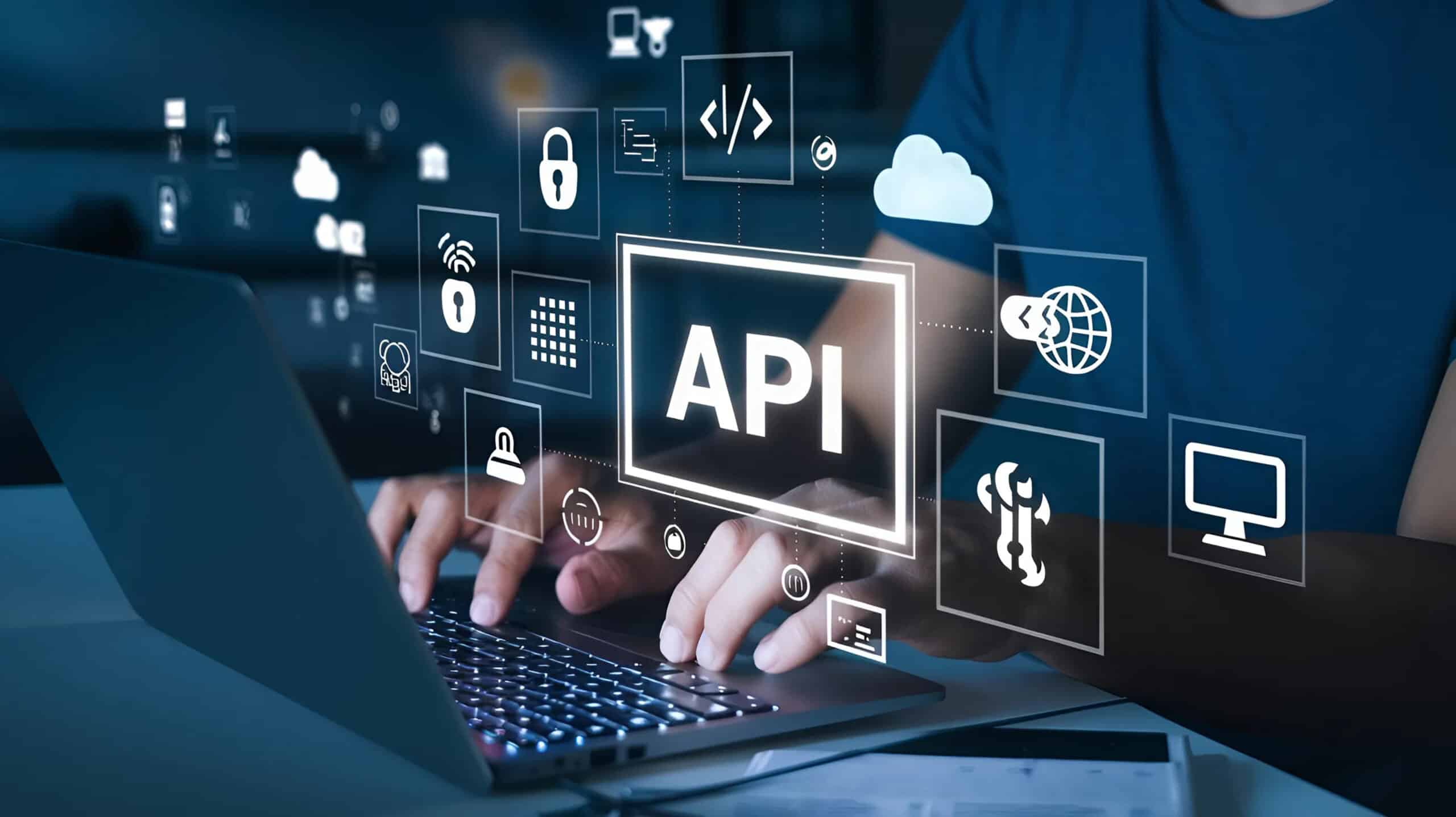 wordpress API setup